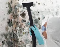 Professional Mold Prevention & Removal  in Loop, PA